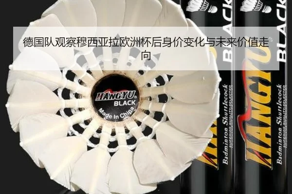 德国队观察穆西亚拉欧洲杯后身价变化与未来价值走向